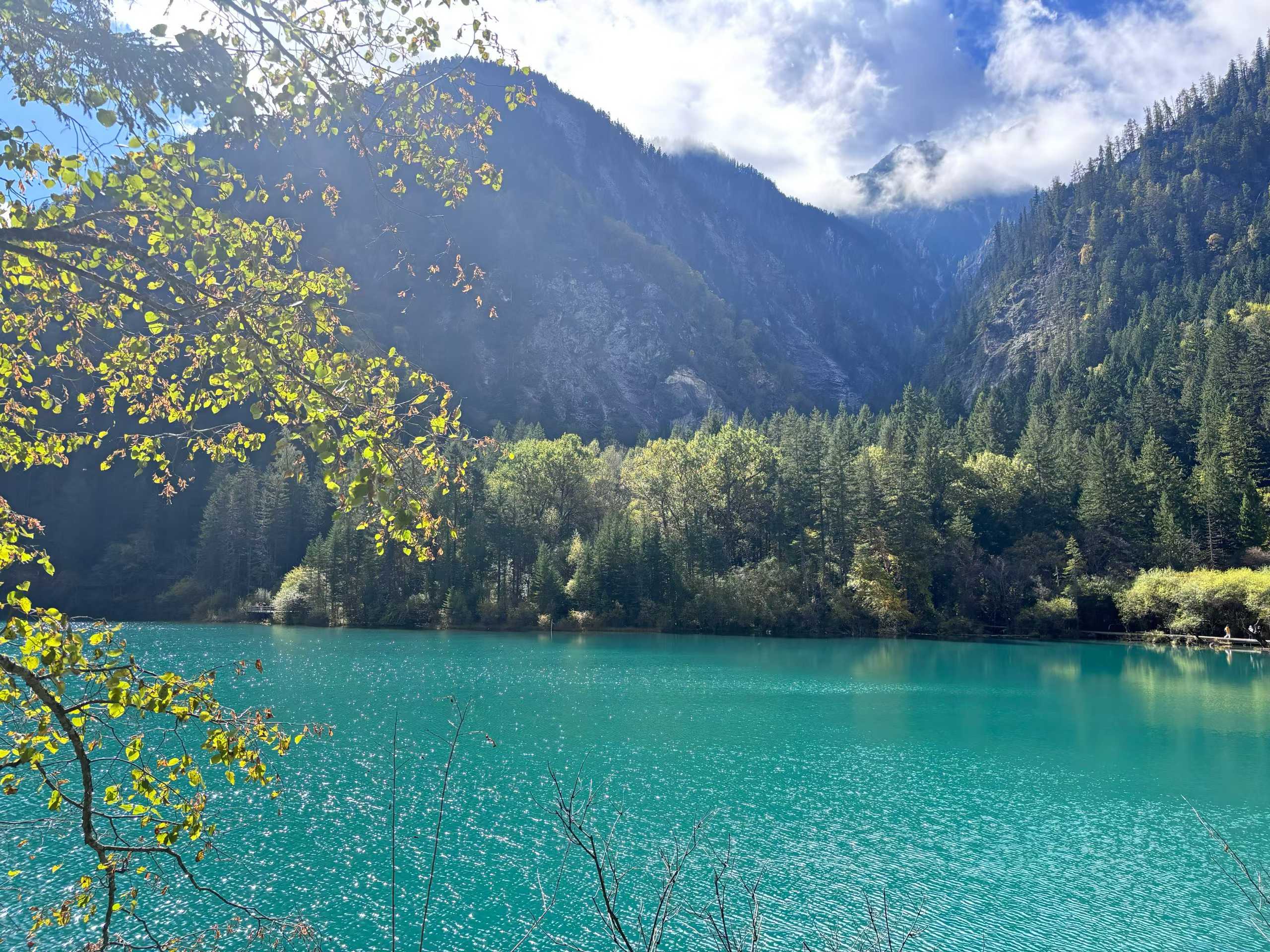 游江西,赴四川,飞港澳:众优教育英才三路齐发,携手共赏山河锦绣(图7) 游江西,赴四川,飞港澳:众优教育英才三路齐发,携手共赏山河锦绣(图7)