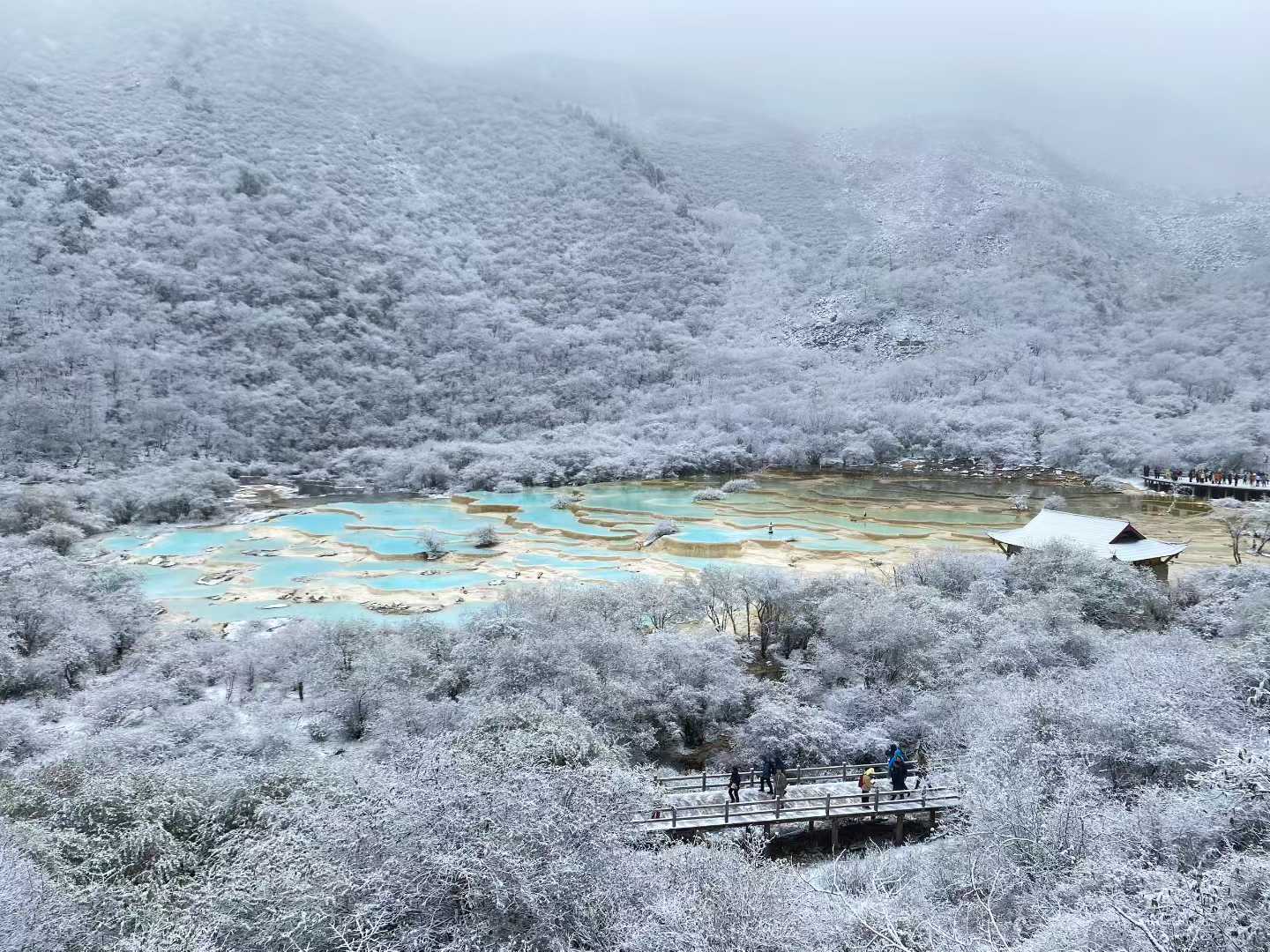 游江西,赴四川,飞港澳:众优教育英才三路齐发,携手共赏山河锦绣(图8) 游江西,赴四川,飞港澳:众优教育英才三路齐发,携手共赏山河锦绣(图8)